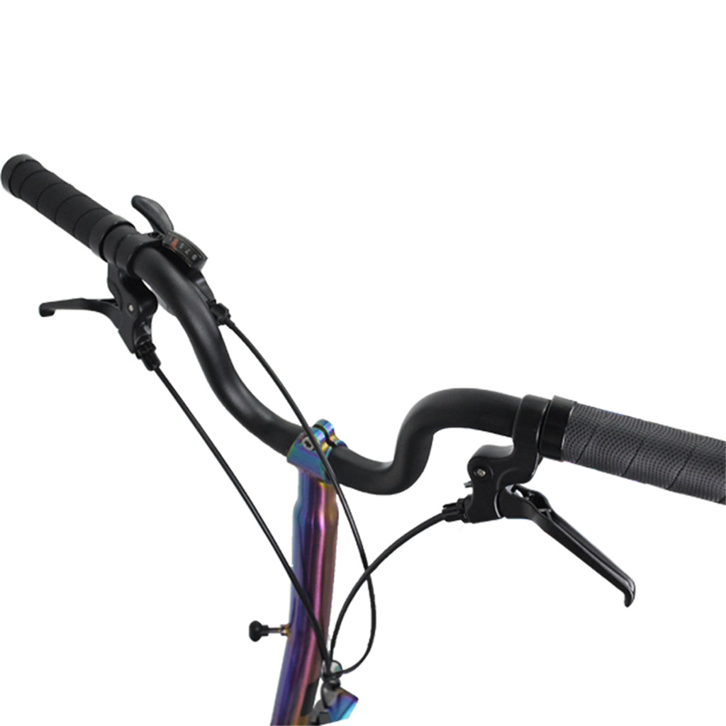 Litepro R9 16Inch External 9 Speed Trifold Folding Bicycle Straight M Handlebar Steel Frame