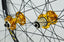 Litepro PASAK R35 700C Road Bike Wheelset 29inch Disc Brake Cross Country Bicycle Wheel Set 30MM Rim Round Spoke Ultralight 1700g