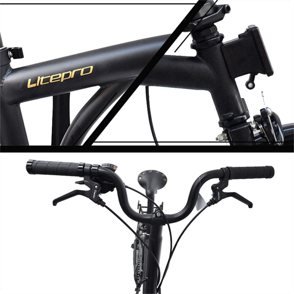 DIY Customized Litepro R9 16Inch External 9 Speed Trifold Folding Bicycle Straight M Handlebar Steel Frame