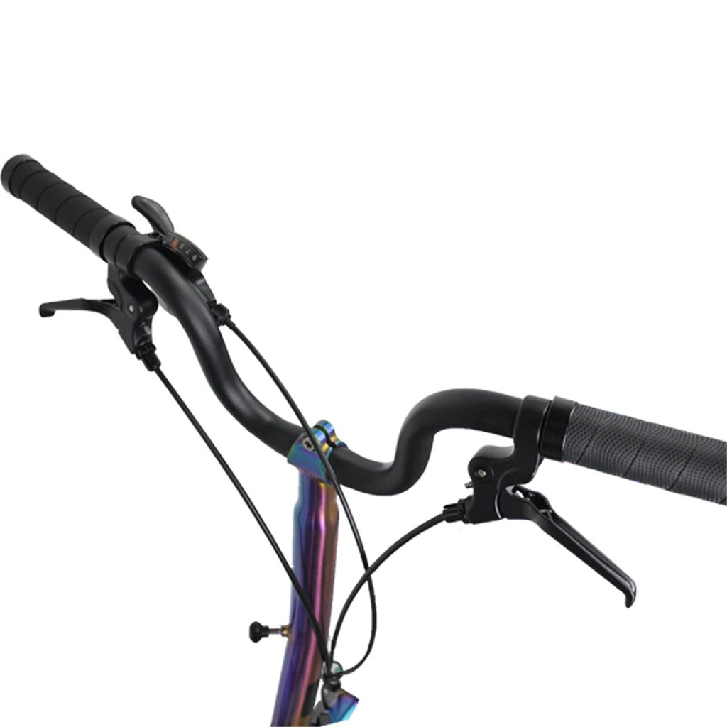 DIY Customized Litepro R20 20Inch External 9 Speed Trifold Folding Bicycle Straight M Handlebar Steel Frame