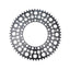 Litepro-Litepro Starry Sky Bubble Chainring