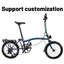 DIY Customized Litepro 20Inch External 9 Speed Tri-fold Folding Bicycle Straight M Handlebar Steel Frame