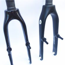 Litepro Bicycle 14 Inch Carbon Fiber Front Fork